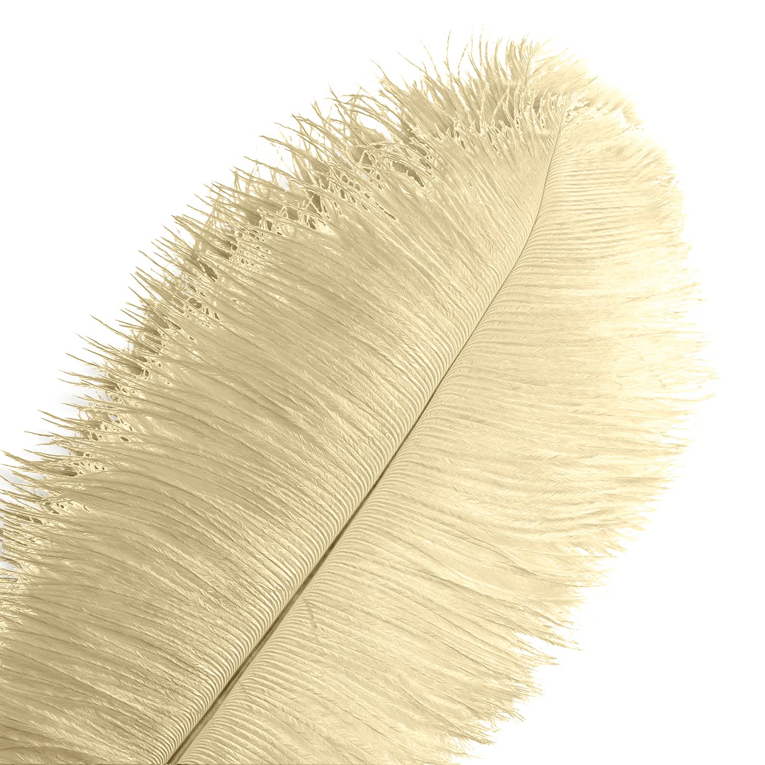 Plumes d'autruche pour décoration de mariage naturel thématique Gatsby beige champagne