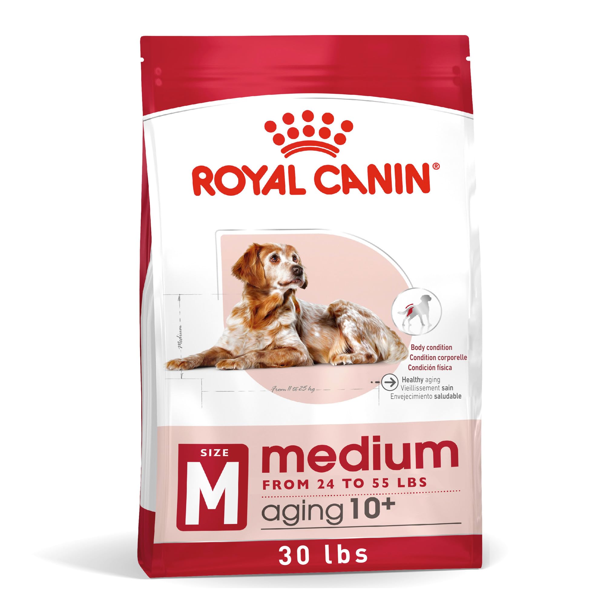 Royal Canin Medium Aging 10+ Senior Dry Dog Food