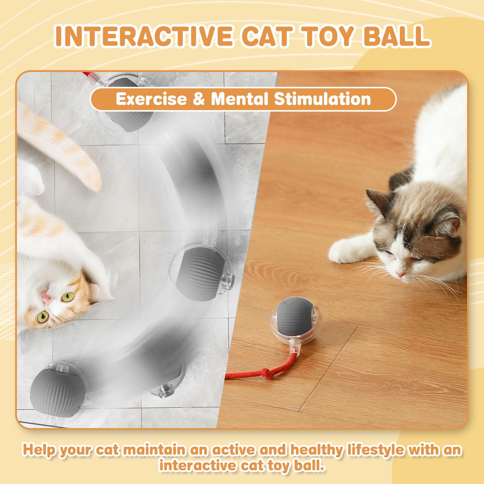 Xaoqin Smart Moving Cat Ball Toy, 360° Interactive Cat Toy for Indoor Cats Upgraded Automatic Kitten & Adult Cat Toys - Image 2