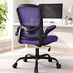 Chaise de bureau, chaise de bureau ergonomique avec support Lombaire réglable & Hauteur de la assise, chaise d'ordinateur Mesh à dossier élevé avec accoudoirs encastrés Chaises de travail (moderne, gris de fer avec cadre gris)