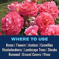 Vista 6 de BioAdvanced Disease Control for Roses, Flowers and Shrubs, Concentrate, 32 oz, 42 Gals of Spray