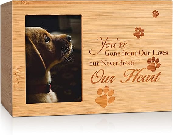 personalized urn for dog ashes