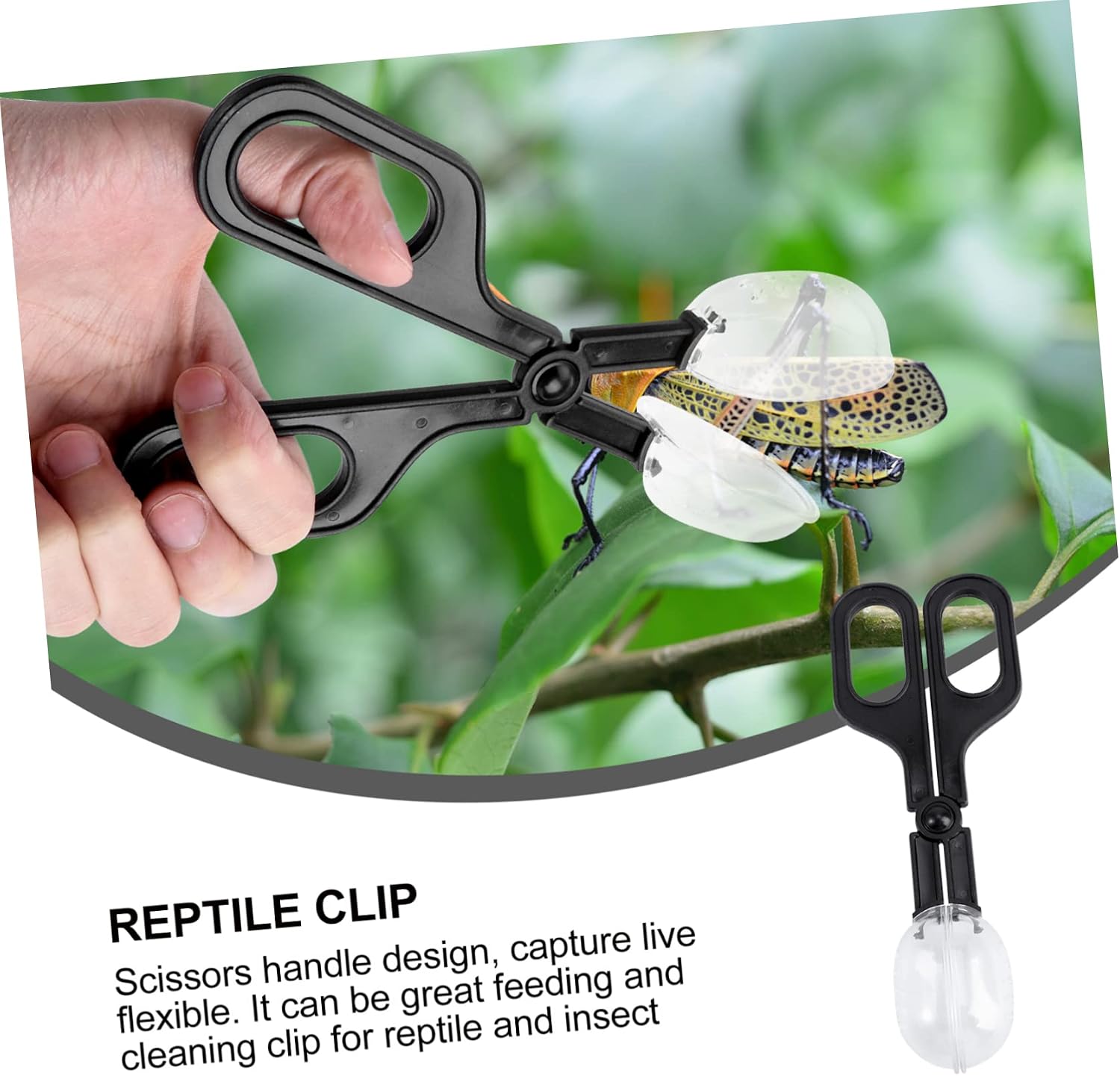 3pcs Reptile Feeding Cleaning Clip Material Flexible Clamp for Pet Raising