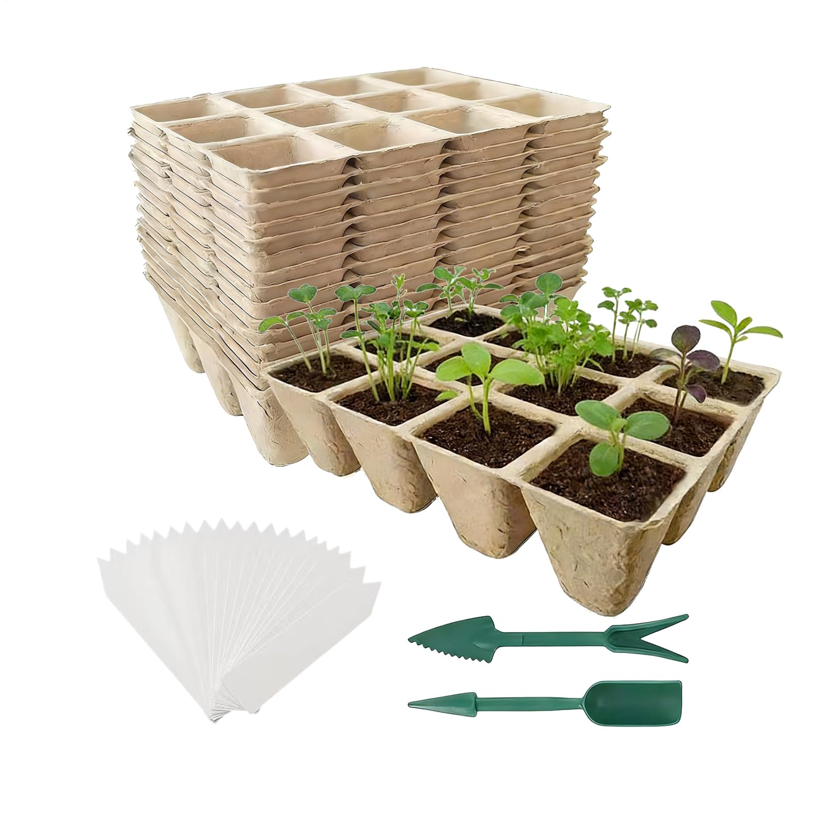 Anzuchttöpfe Für Pflanzen 12-Umpflanzbecher Set | mit Werkzeug und Etiketten Wurzelfreundliche Pflanztöpfe aus Pappe Zur Pflege, Zum Wachstum Und Zur Vermehrung Von , Blumen