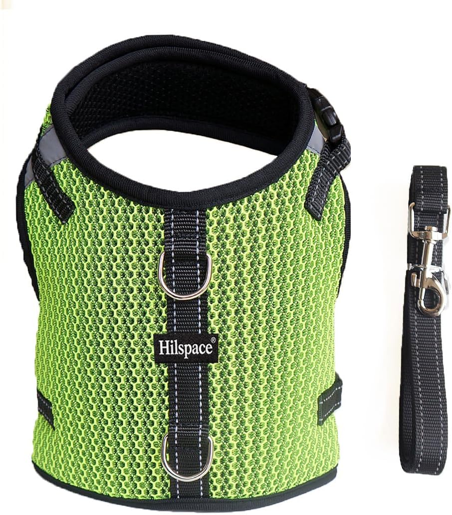 Mini Dachshund Harness – No Armpit Rub, Escape Proof, Reflective, No Pull Vest-Style Dachshunds Harness,Breathable Mesh Dog Harness (Fluorescent Green, XS,Fit Puppy&Rabbit Dachshund)