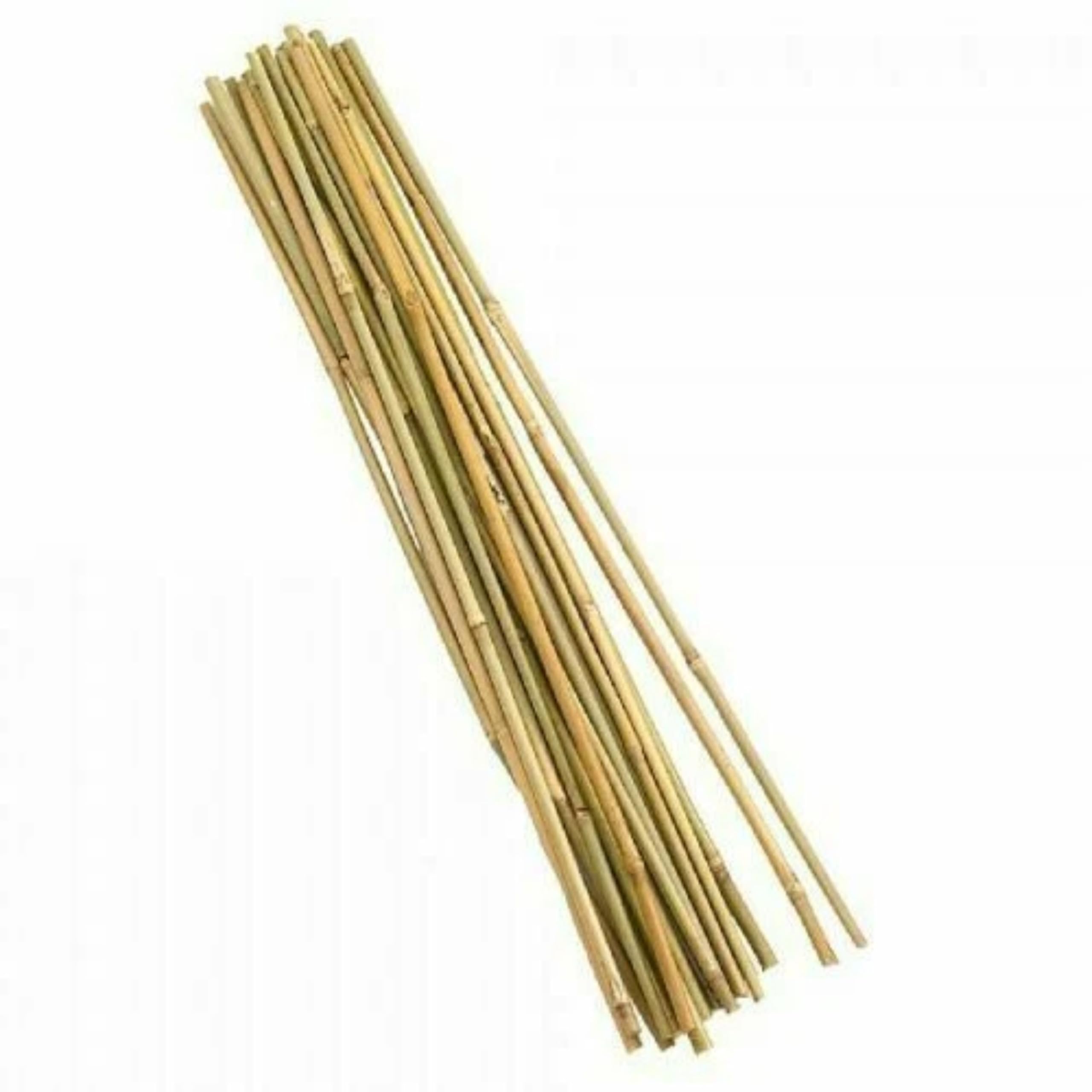 AKADIL Natural Bamboo Plant Stakes – Strong Support Stakes for Tomato & Bean, Climbing Plants Aid, Garden Bamboo Canes, Plant Supports for Outdoor Plants (4ft (Pack of 10))
