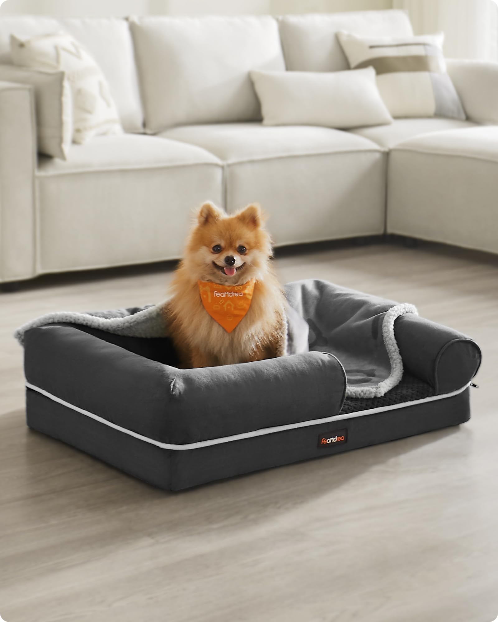 Feandrea Cuccia per Cani Ortopedica, Letto Divano per Animali, Imbottitura Morbida, Bordi Rialzati, Copertura Sfoderabile e Lavabile, 76 x 51 x 18 cm, Fondo Antiscivolo, Grigio Scuro PGW074G01