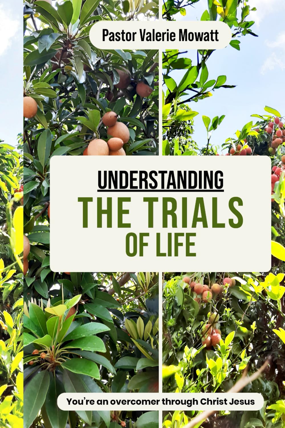 Understanding The Trials of Life: You're an Overcomer Through Christ Jesus      Paperback – November 3, 2025