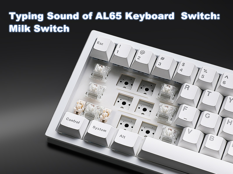 Amazon.com: YUNZII AL65 Wireless Mechanical Keyboard, Full