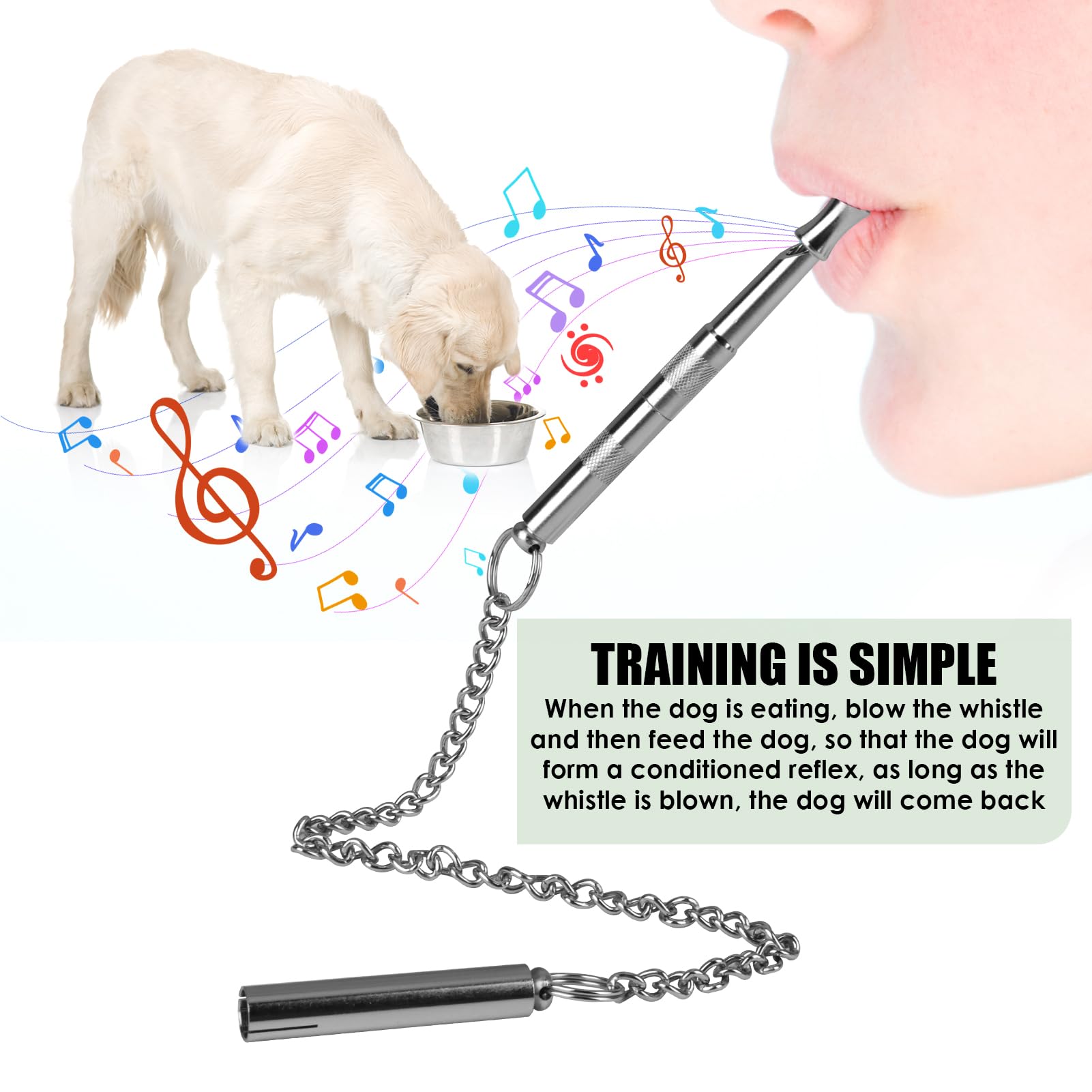Hioip Dog Whistle to Stop Barking 120Khz Metal Silent Dog Whistle for Recall Training with Stainless Steel Chain Far Reaching Sound High Frequency Long Distance Recall for Most Breeds - Image 4