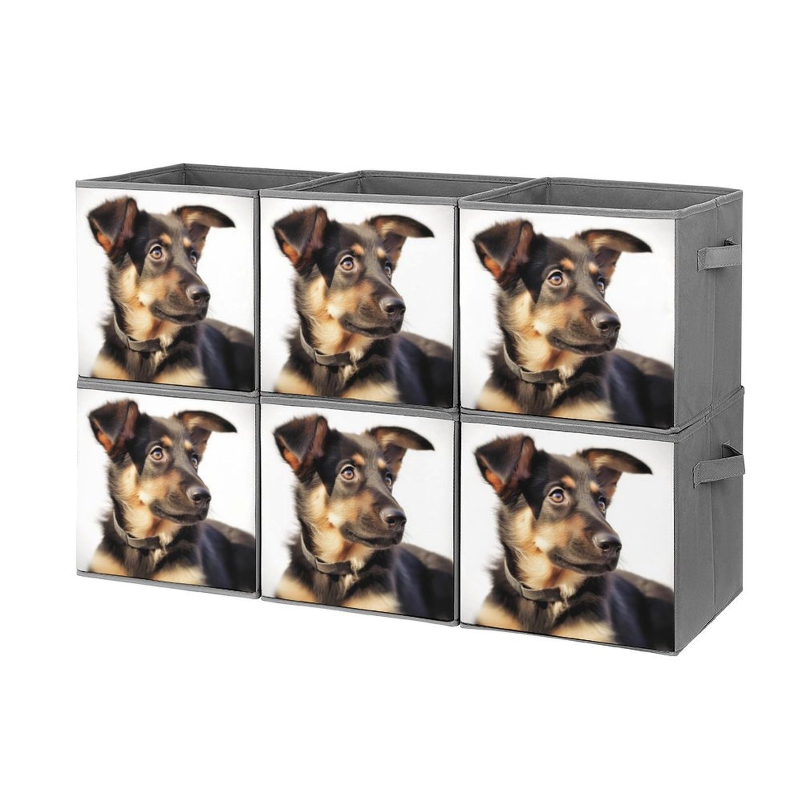 Boîtes de rangement pliables pour chien pour organiser les vêtements de maison