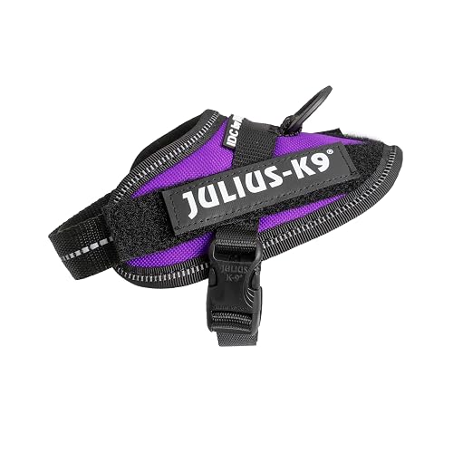 Julius-K9 Arnés IDC Power, Tamaño: 3XS/Baby 1, Púrpura Oscuro