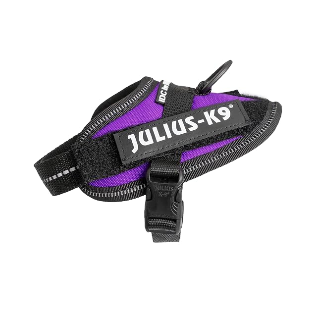Julius-K9 Arnés IDC Power, Tamaño: 3XS/Baby 1, Púrpura Oscuro
