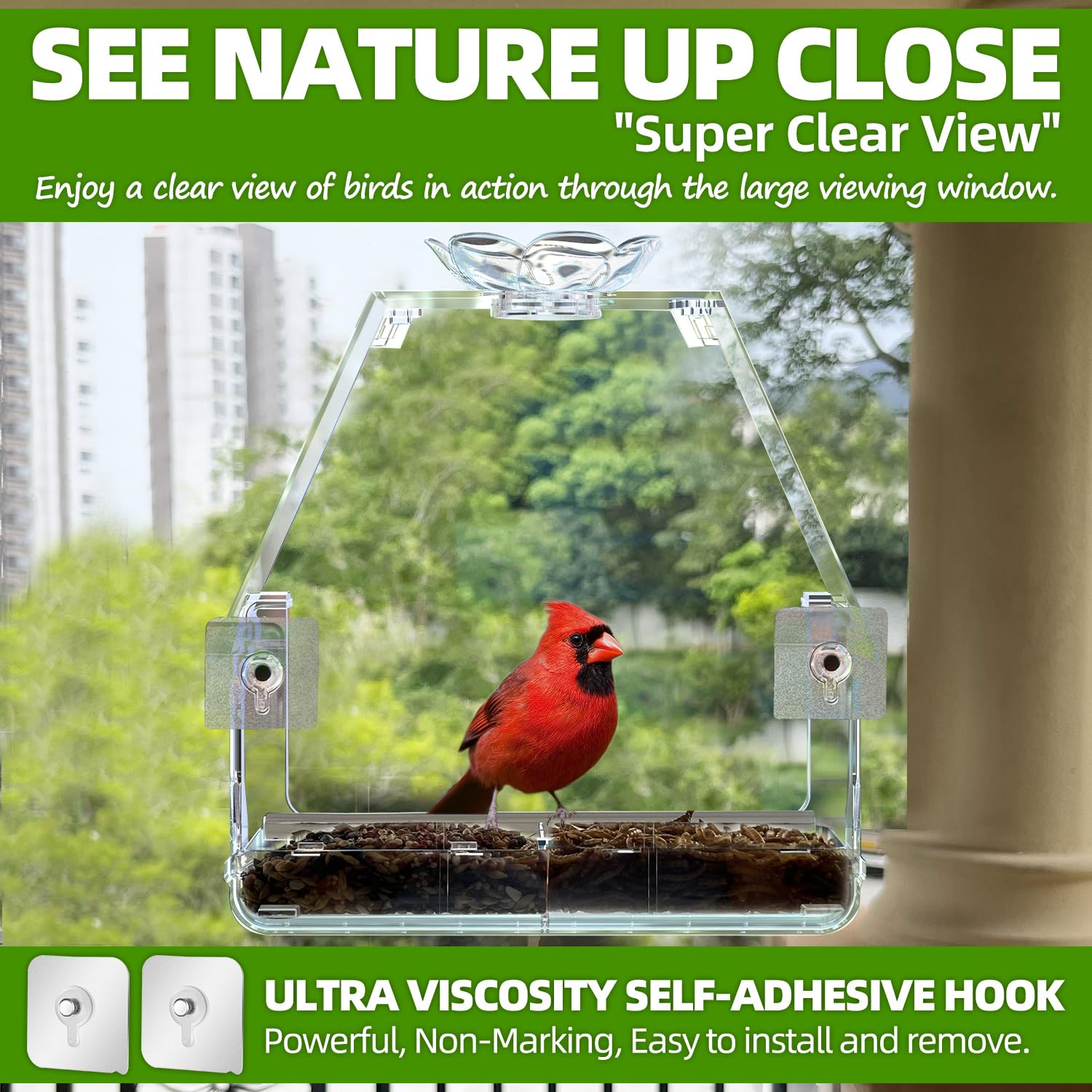 WENMIXER Comedero para pájaros con ganchos autoadhesivos que no dejan marcas, transparente y transparente, regalo de observación de aves silvestres al aire libre, decoración de jardín (casa)
