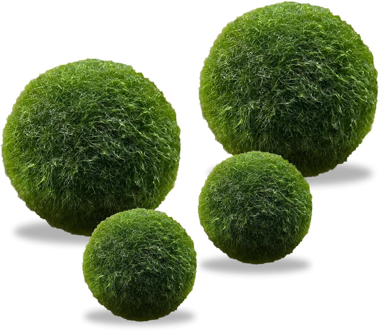 4 x Green Live Algae Balls, Natural Algae Balls, Aquarium Decorated with Green Algae Balls, Aquarium Decorated with Vivid Algae Balls, 2 Sizes (Green)