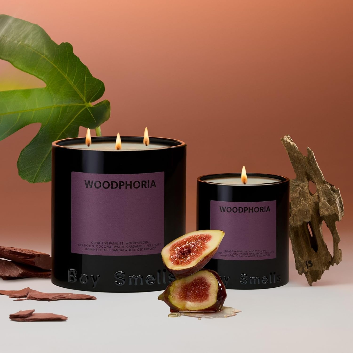 Boy Smells Woodphoria Scented Candles for Men and Women - Vegan Soy Wax Candle Blend - Aromatic Candles for Home with Fig, Sandalwood and Jasmine