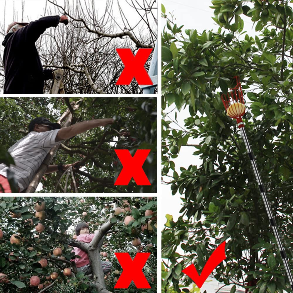 Recogedor de Frutas Telescopico 4.3M, Recoge Frutas Telescopico Acero Inoxidable, Recogedor Fruta Jardin, Recoge Frutas de Manzanas, Herramientas Recolectar de Higos Limón Cerezas Árbole Ø 145mm