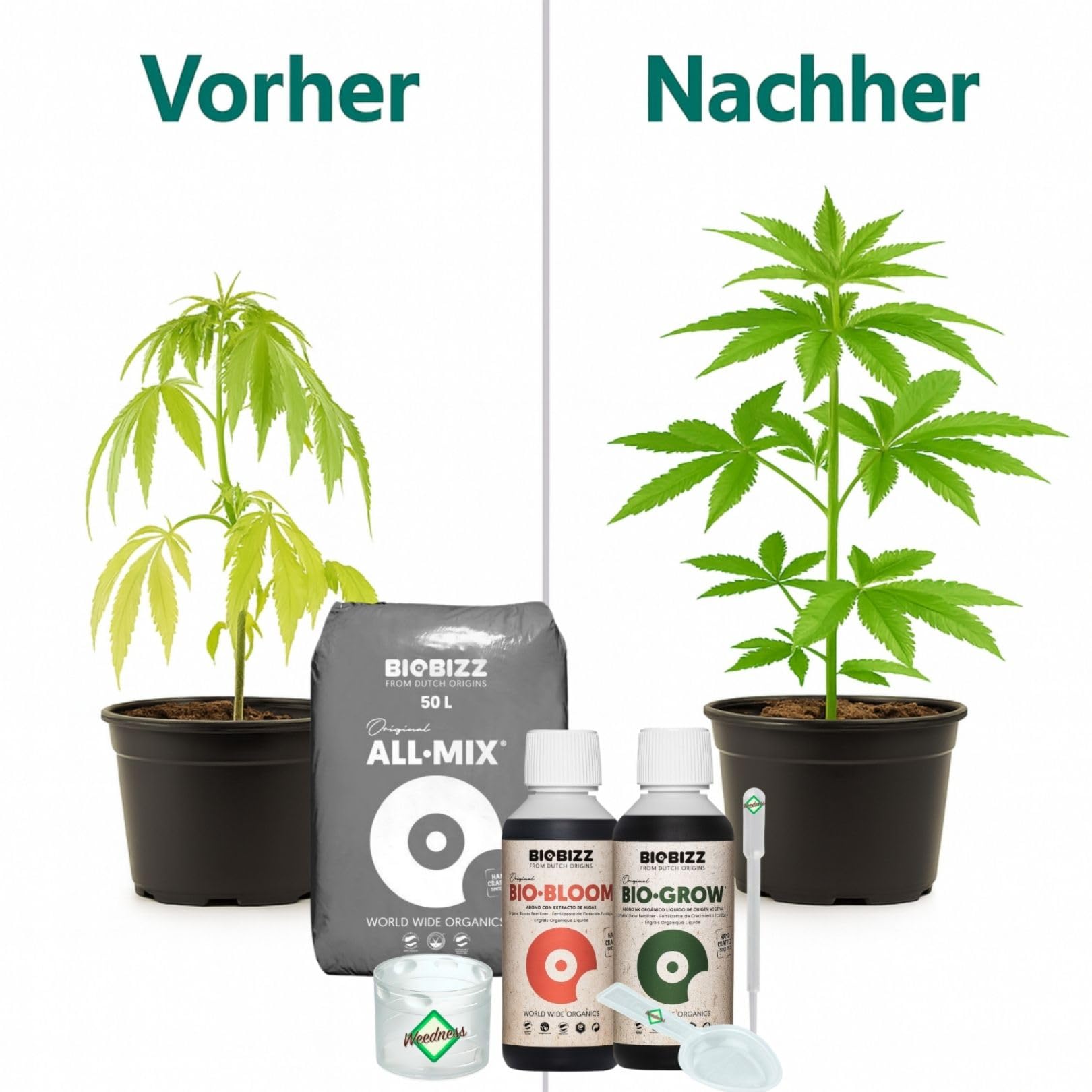 Weedness BioBizz All-Mix 50 Liter + Dnger - Blumenerde Grow Indoor Outdoor  Bonsai Balkon-Pflanzen Palmen Bio Kokos : Amazon.de: Garten