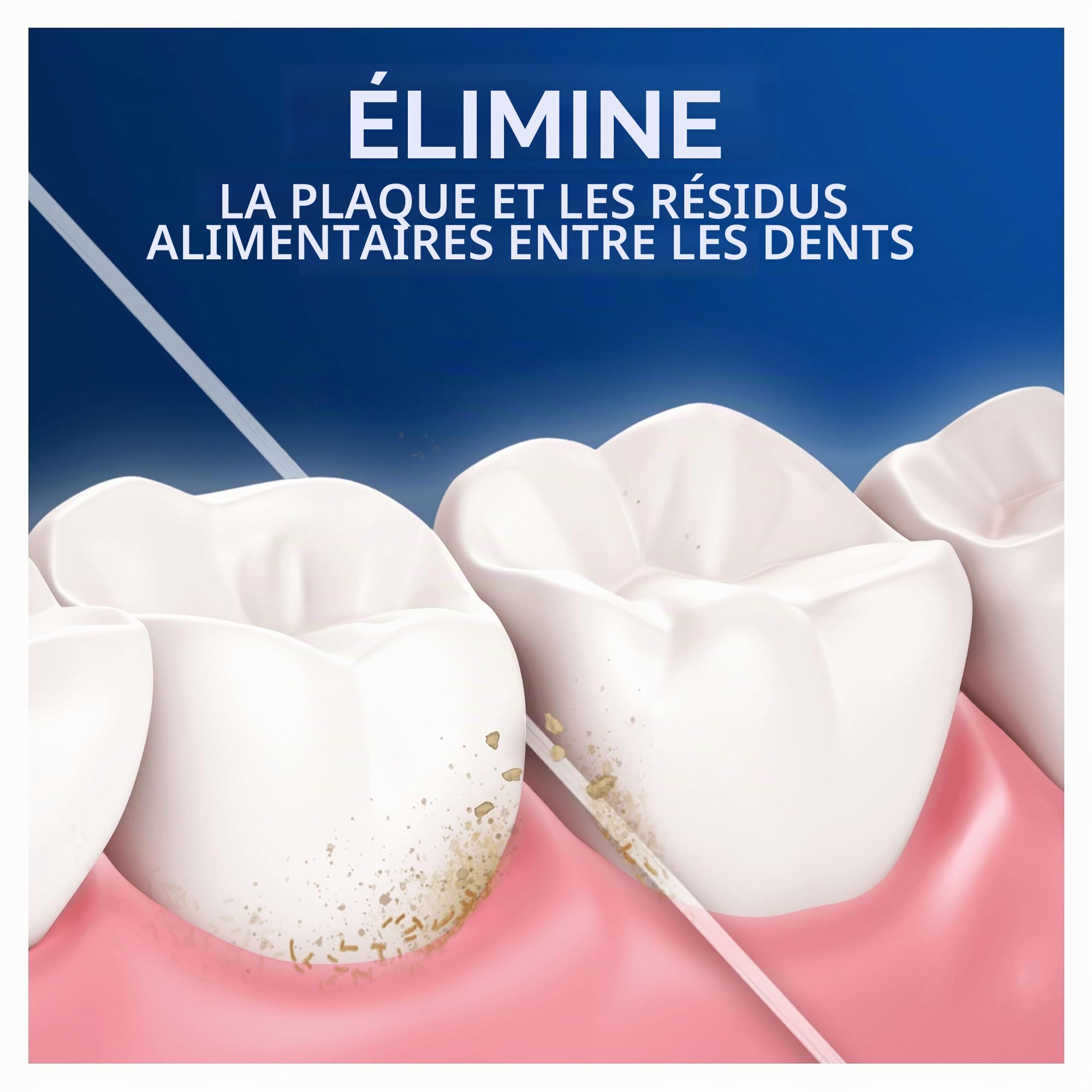 Oral-B Pro-Expert Fil dentaire avancé avec ruban ciré 50 m Nettoyage en profondeur Menthe fraîche 12 fils dentaires