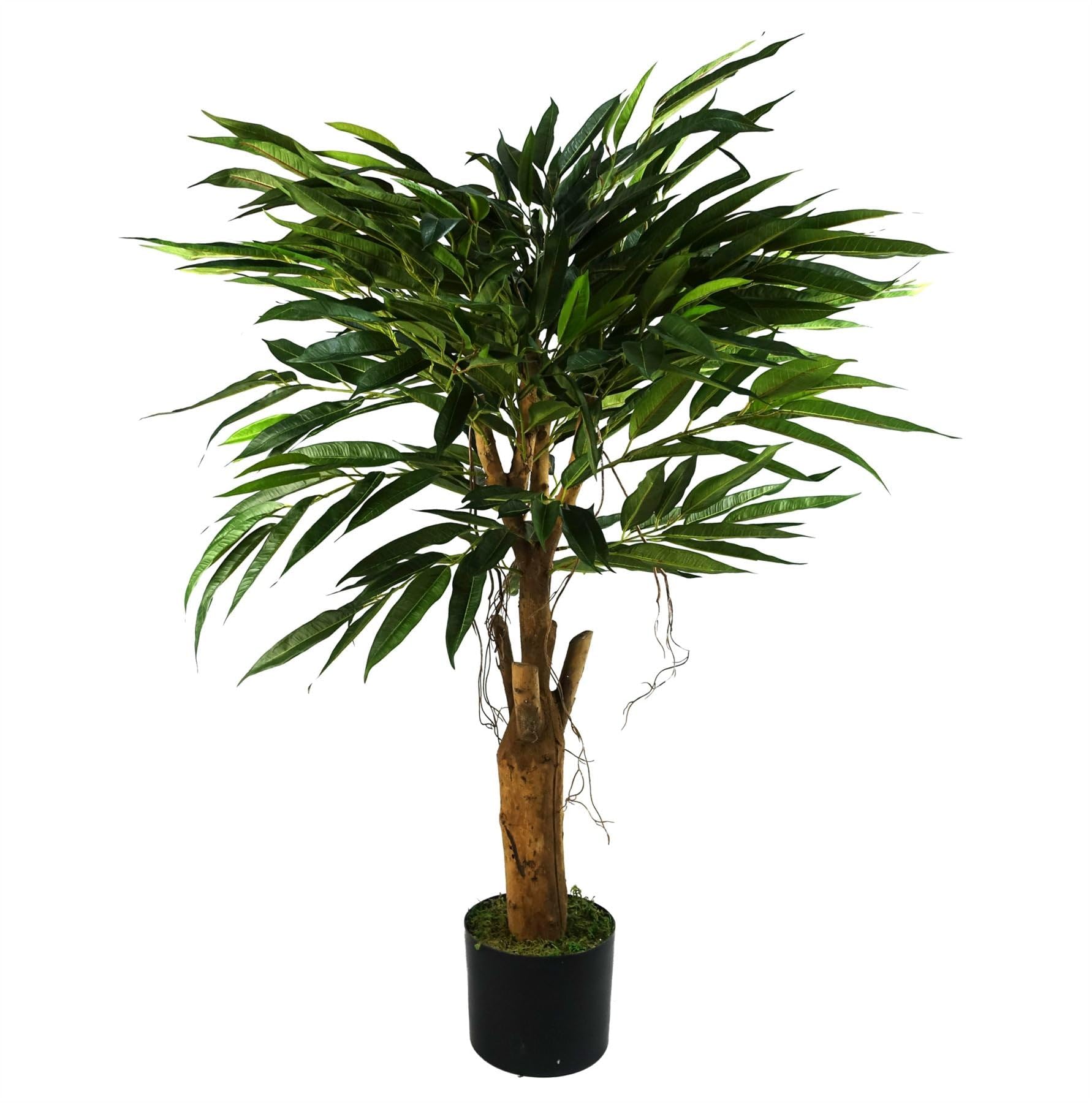 Botanik Realistic Longifolia Ficus Artificial Tree - Natural Trunk, Green, 100cm Height