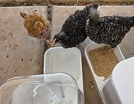 Review Image by REm REm