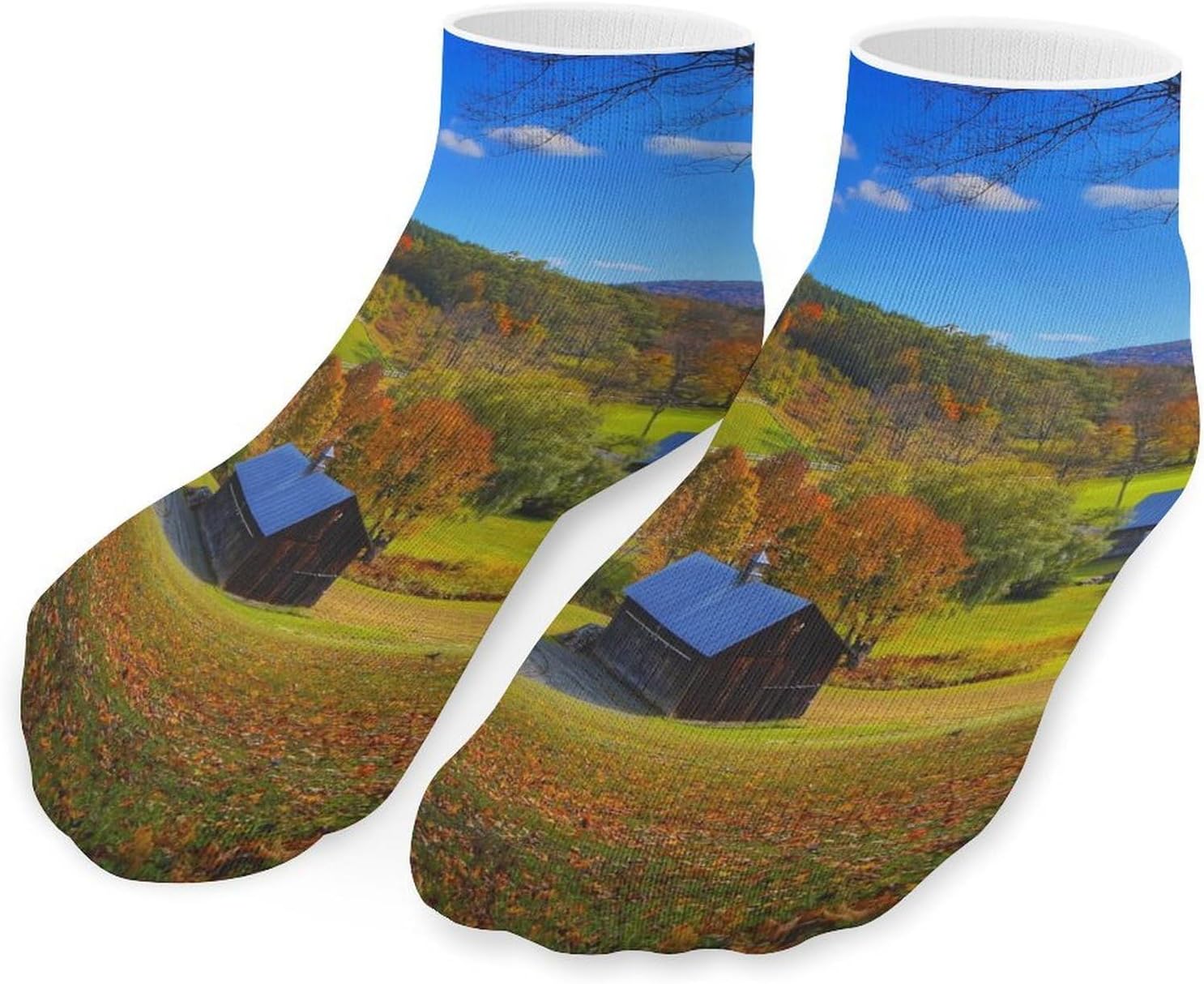 Foliage Vermont Plains Green Natural No Show Ankle Socks Low Cut Non Slip Flat Boat Line 5 Pairs Set