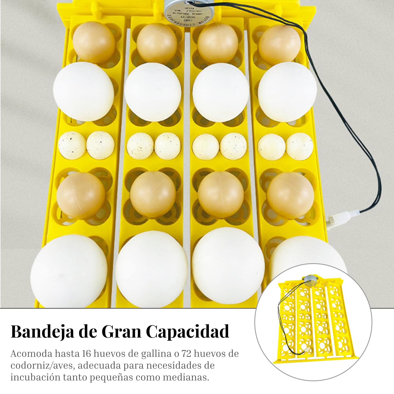 perfk Bandeja de de Huevos con Motor automático, Bandeja giratoria de Huevos, Accesorio de incubación, Bandeja de incubación de Huevos,