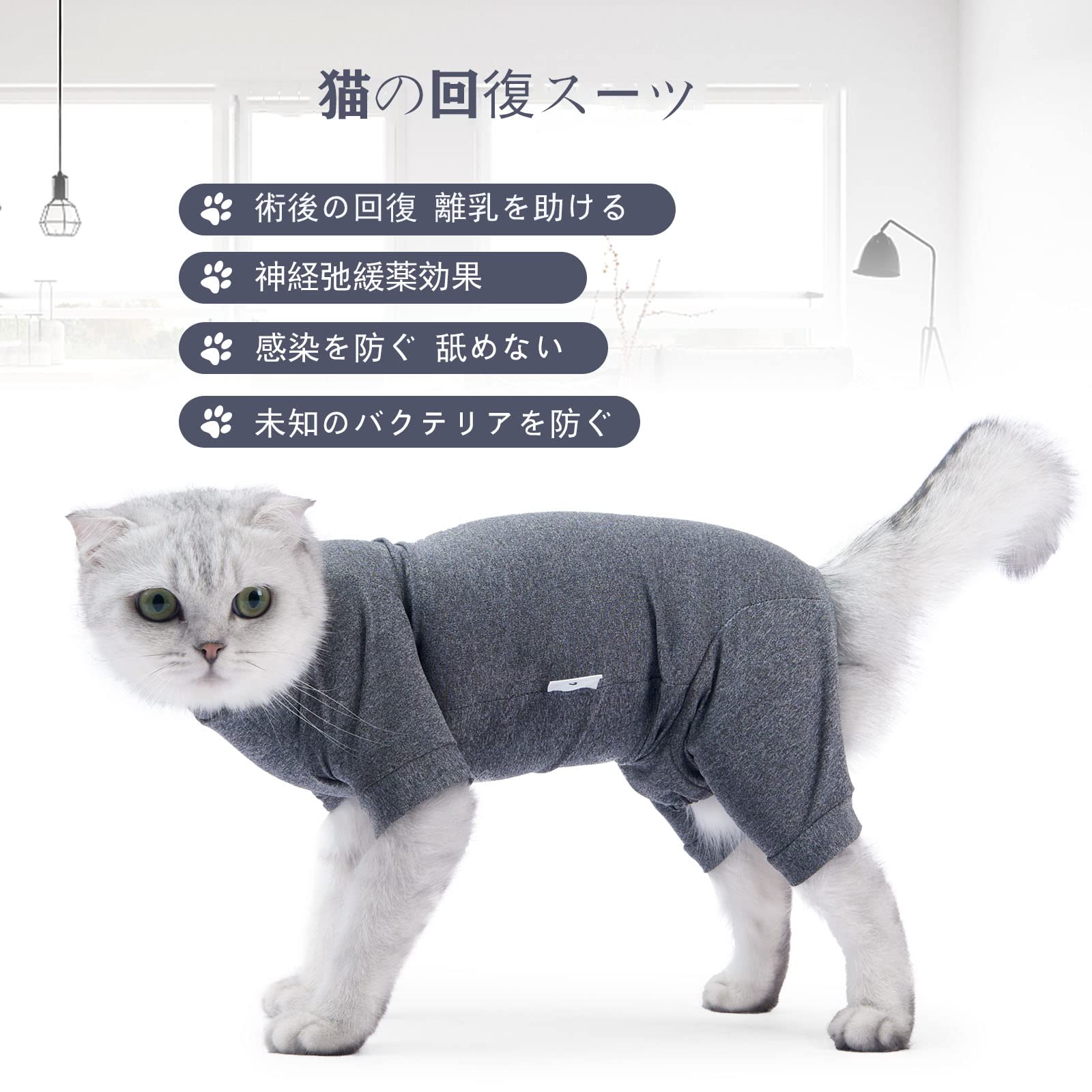 Amazon | SEIKAIE猫 術後服 術後ウェア 小型犬 犬の服 猫の服 猫