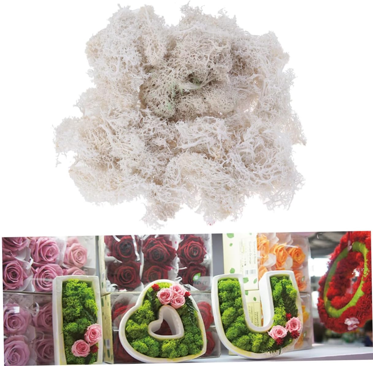 Anneome 3pcs Preserved Moss for Crafts White DIY Floral Material for Wedding Bouquets Terrariums and Home Decor Beautiful Pliable Less Dusty for Fairy Gardens
