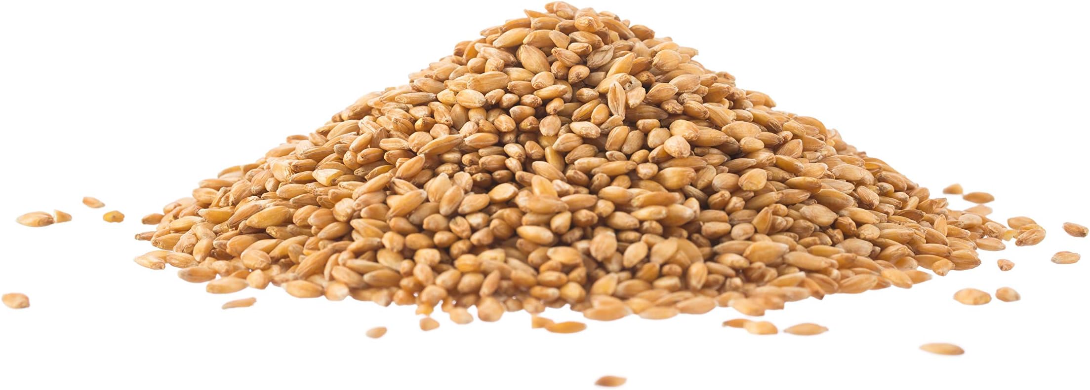 Bulk Organic Wheatgrass Seed for Sprouting, Hard Red Spring Wheat, Wheatgrass Sprouting Seeds (2 lbs.) | USA Grown