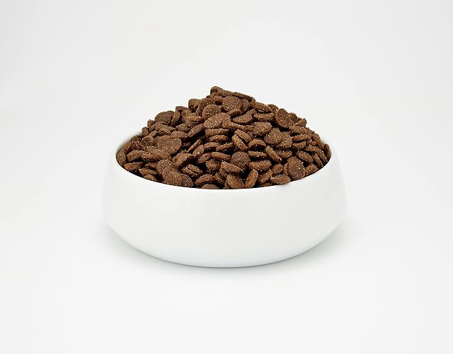 Foto 3 de 5 de Monge Super Premium All-Breeds Puppy agnello-riso 12 kg