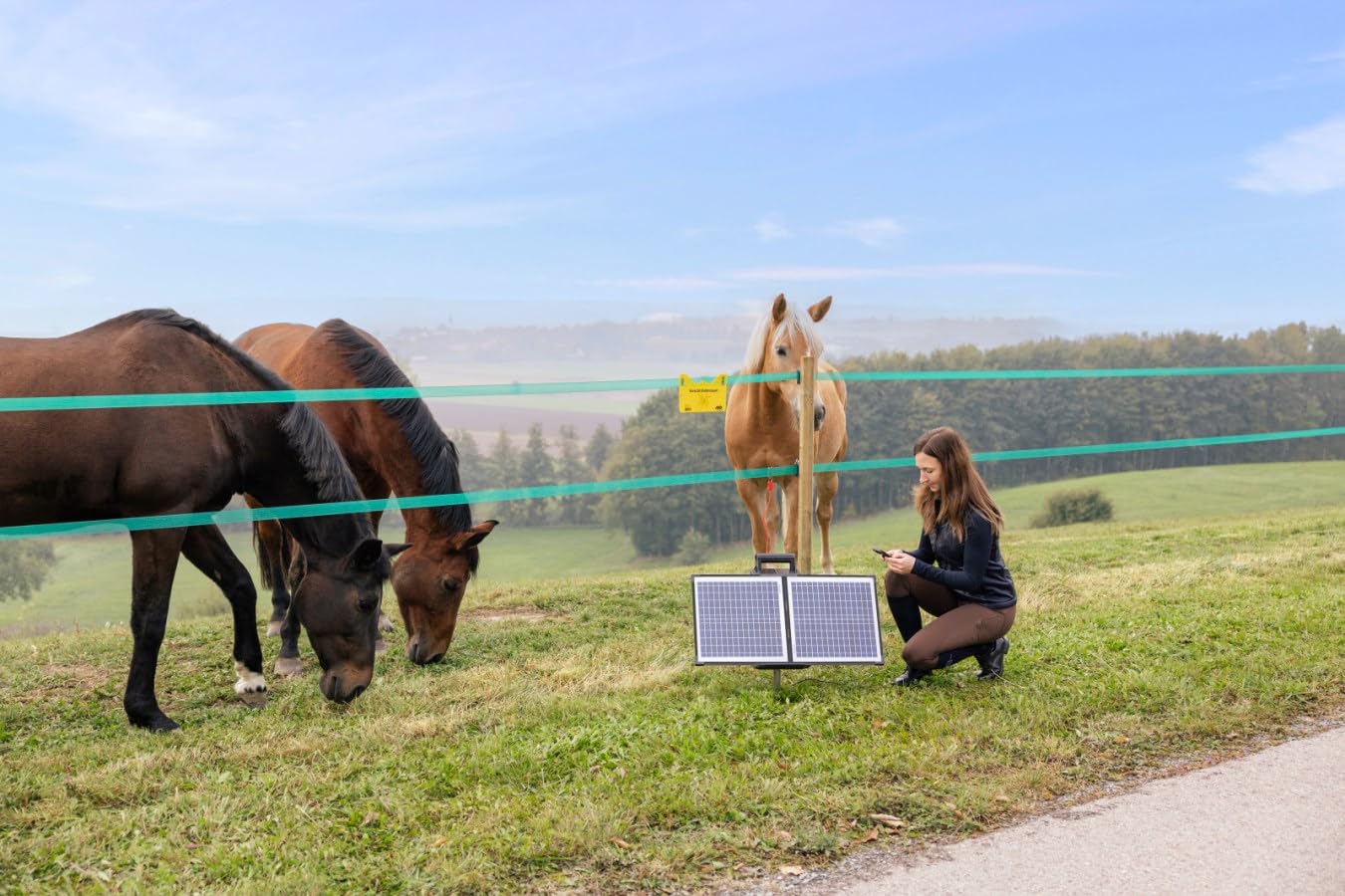 AKO Sun Power S 4000 Smart (monitoraggio per recinzioni mobili, Tester per recinzioni e batterie, Accessori per Animali, Animali da pascolo, Recinzione per Animali) 372954