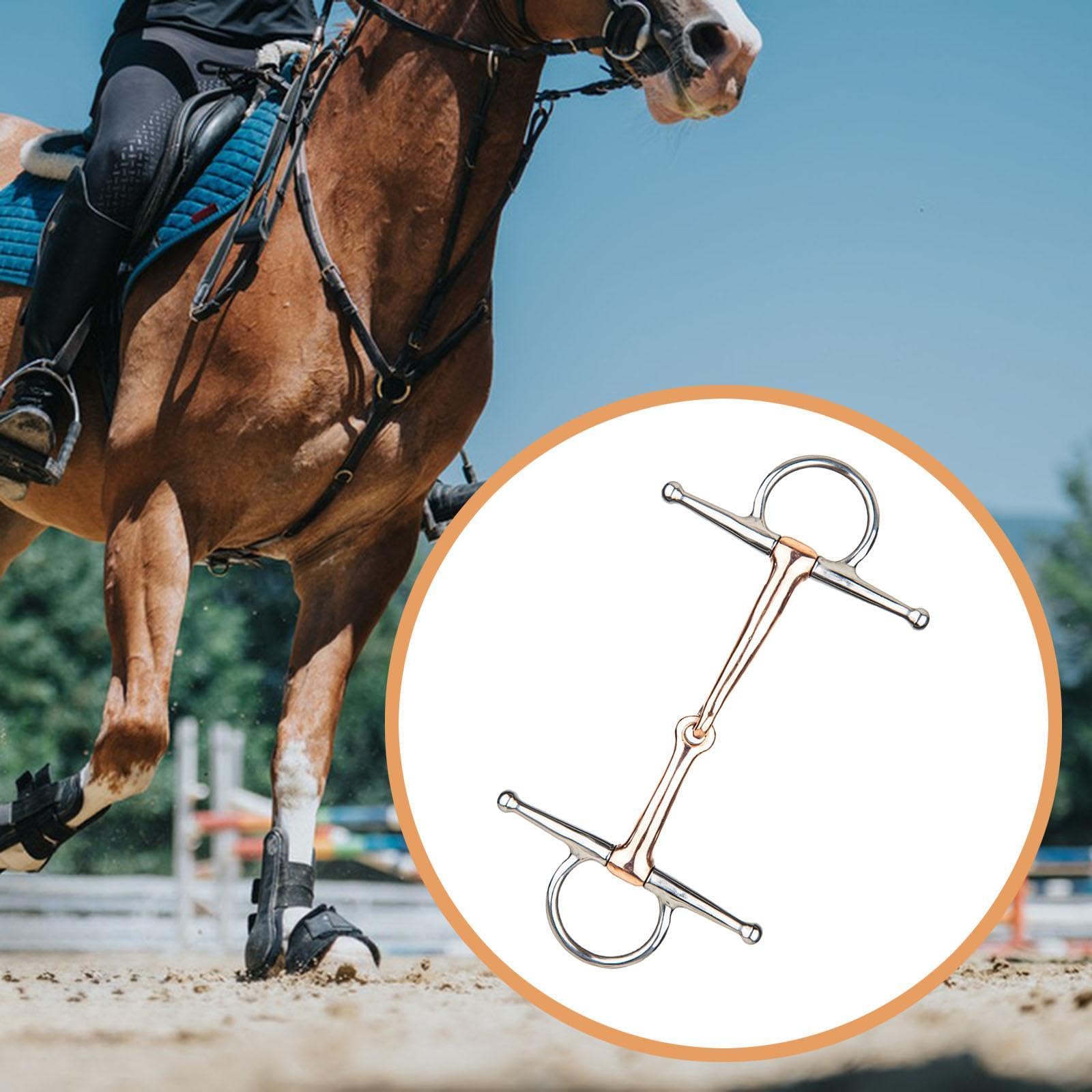 Fenteer Horse bit Snaffle de Metal con Boca Forma H para Caballo Elaborado en Acero Inoxidable Adecuado para Monta Entrenamiento Regalo Decoración14.2cm