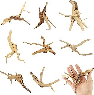 8 Pcs Natural Spider Woods, 4-8 Inch Small Driftwood Branches, Aquarium Driftwood for Reptile Fish Tank Decorations
