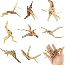 8 Pcs Natural Spider Woods, 4-8 Inch | Small Driftwood Branches, Aquarium Driftwood for Reptile Fish Tank Decorations