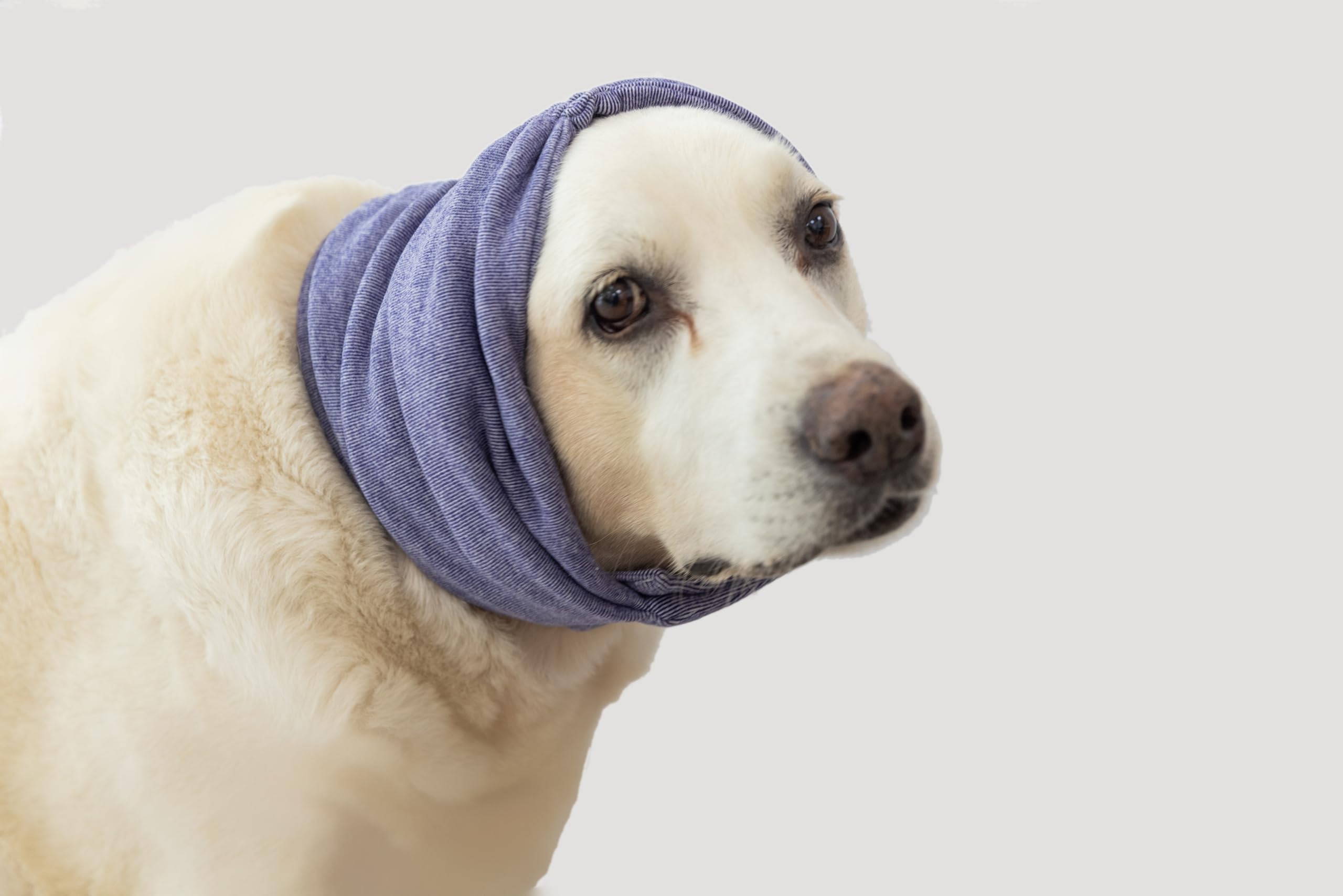 Dog Ear Muffs for Noise Protection Purple L