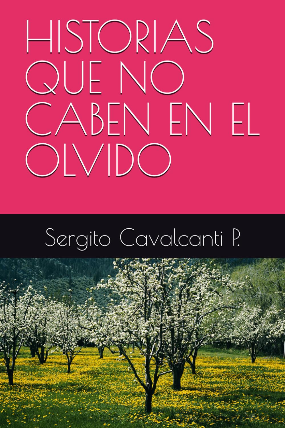 HISTORIAS QUE NO CABEN EN EL OLVIDO