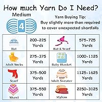 Vista 5 de Lion Brand Heartland Capitol Reef 136-140 (3 cadejos - mismo lote de tinte) Hilo estambre medio #4 acrílico para crochet y tejer con bolsa