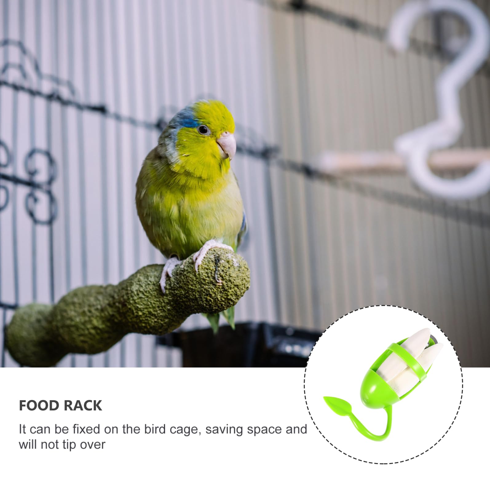 DOITOOL 6pièces Jouet à Mâcher De Seiche pour Oiseaux avec Support Suspendu Accessoire pour Perroquets Perruches Et Cockatiels