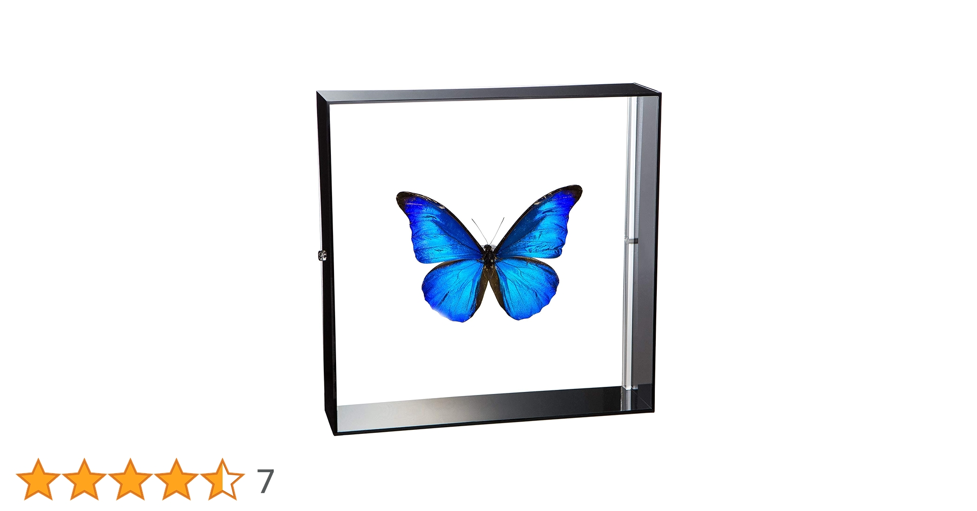 71sdmdwlCfL.jpg_BO30,255,255,