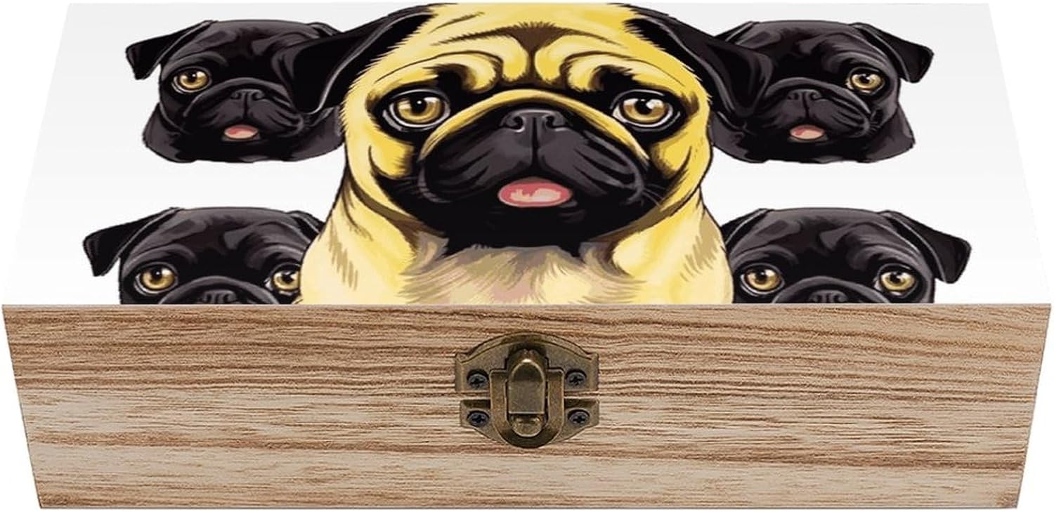Vintage Wooden Storage Box with Front Clasp Keepsake Box with Lid