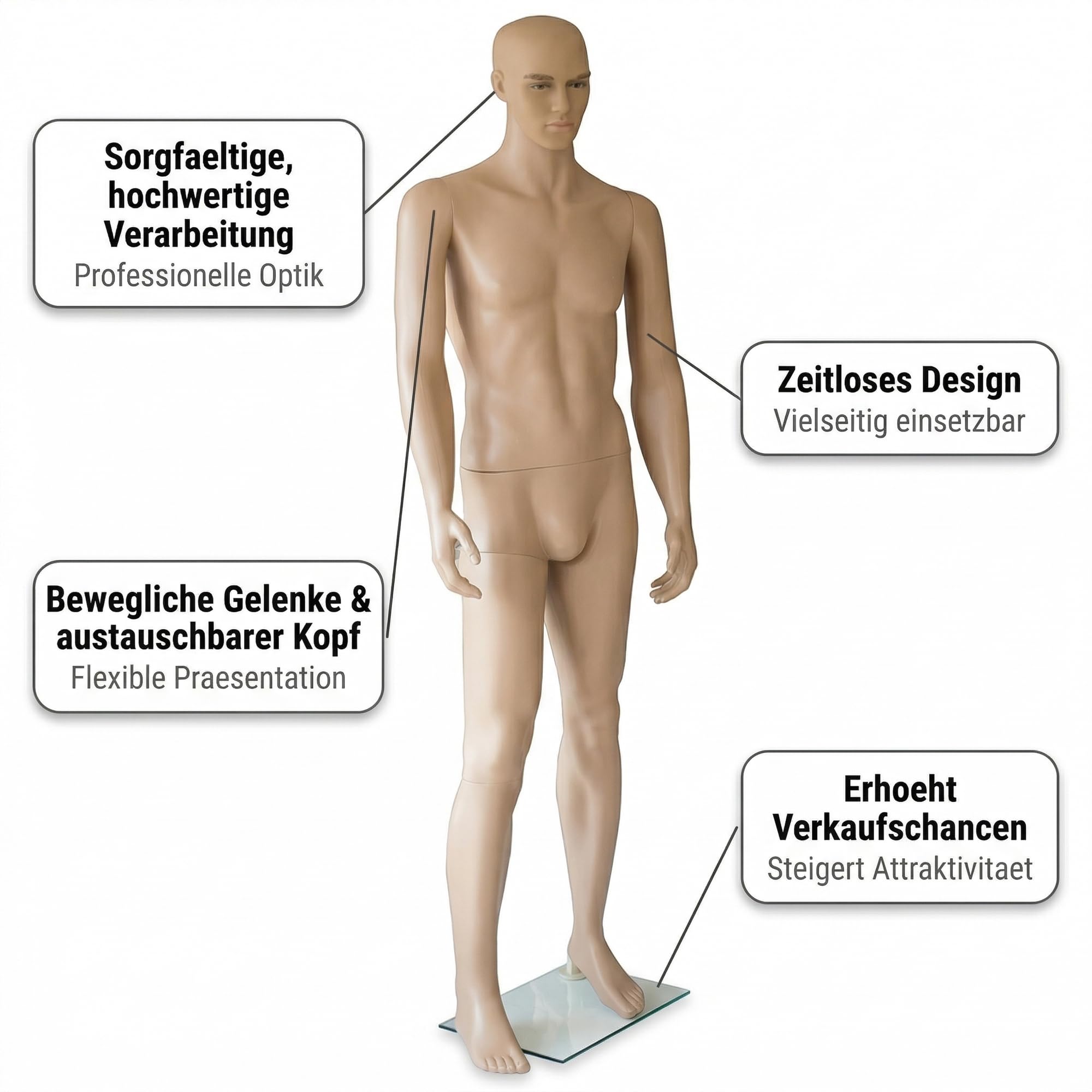 Mucola Schaufensterpuppe Mann 185 cm – Männliche Schneiderpuppe mit beweglichen Gelenken – Realistische Schaufensterfigur Herren-Mannequin mit Glas-Standplatte – Abnehmbarer Kopf & Arme