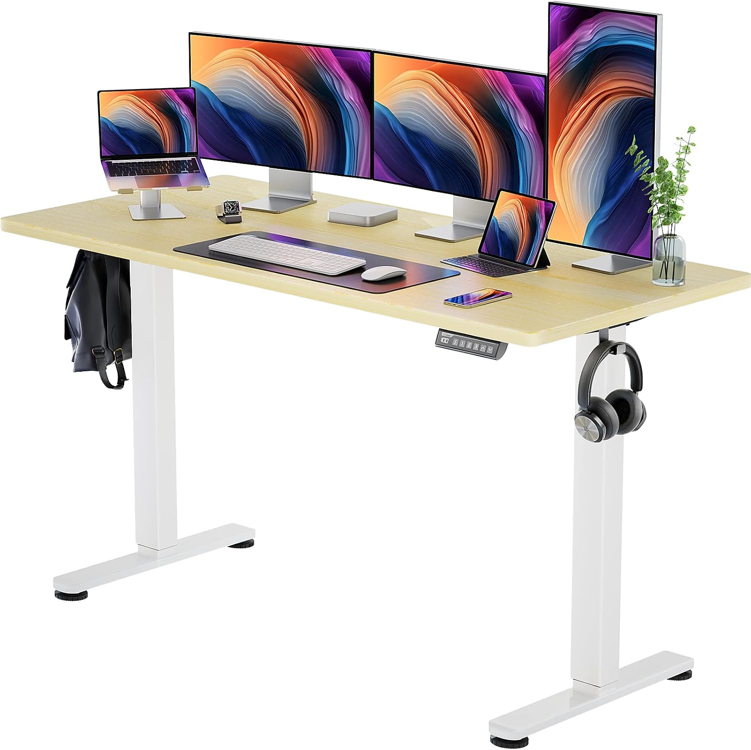 ErGear Height Adjustable Electric Standing Desk, 63x 28 Inches Sit