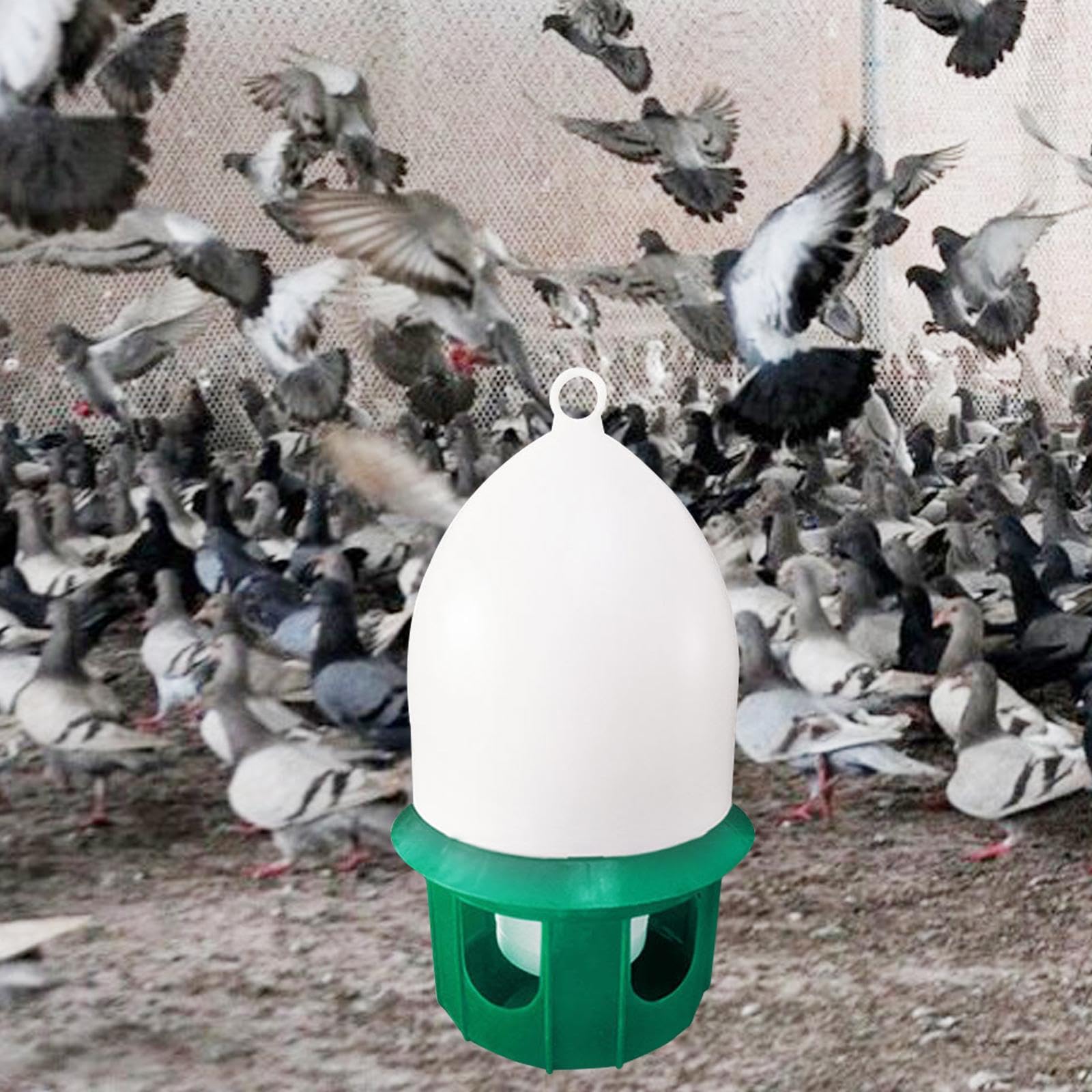 rockible Abreuvoir pour Pigeons, Abreuvoir pour colombes, Automatique, Distributeur d'eau pour Oiseaux, pour calopsittes, paons, tourtereaux, 6L Vert