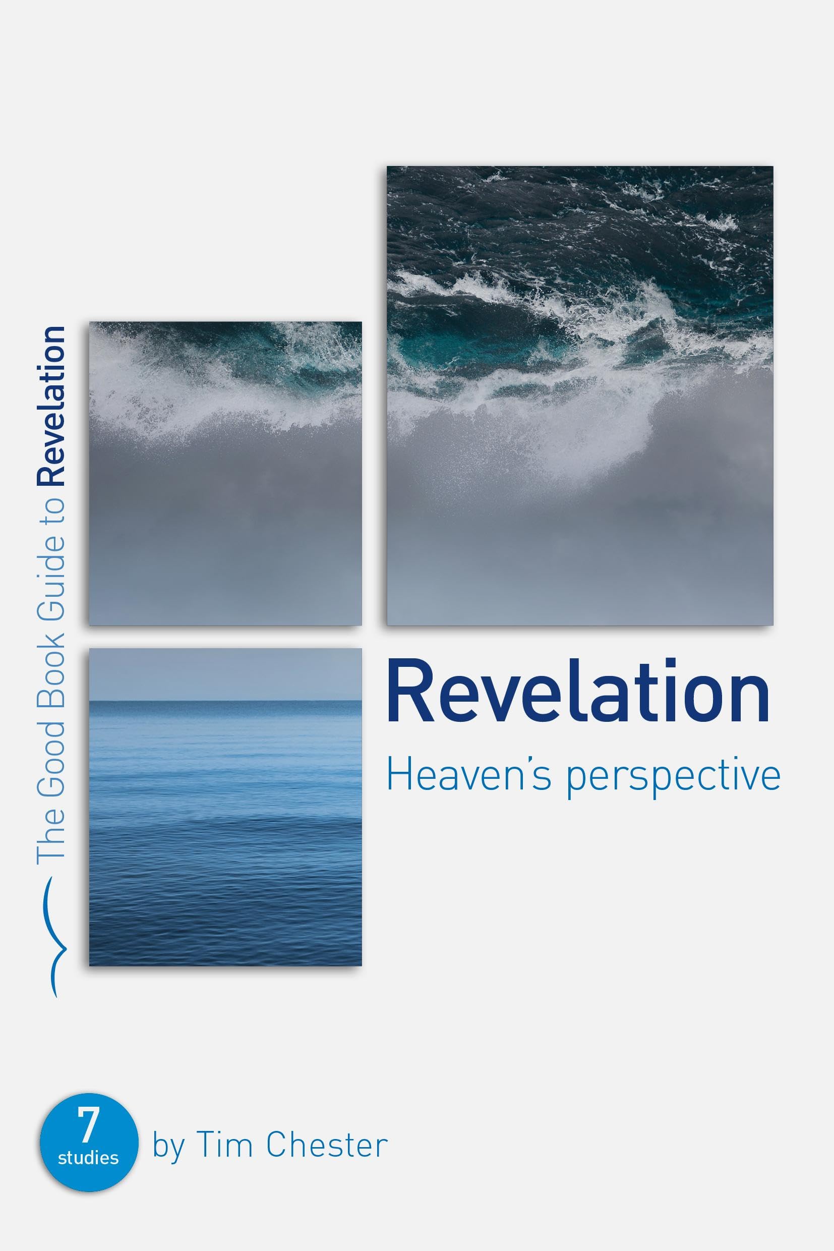 Revelation: Heaven's perspective: 7 studies for individuals or groups (Good Book Guides)