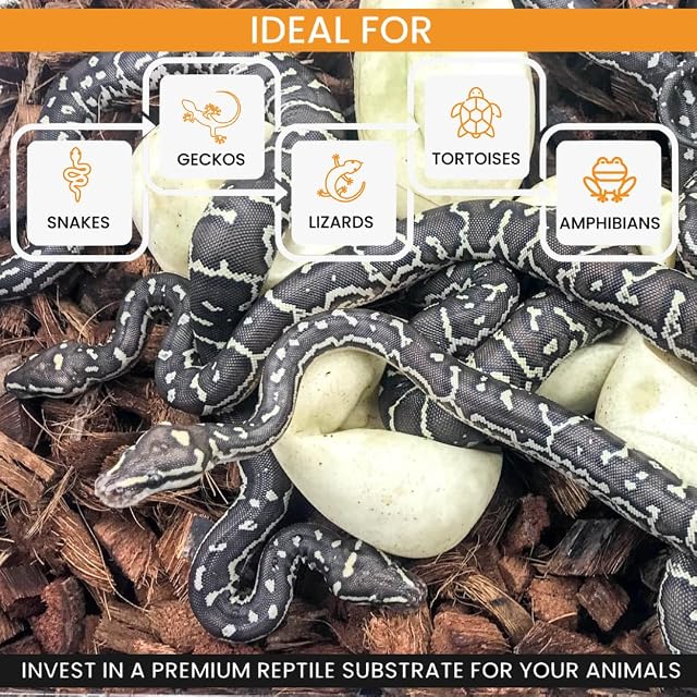 Foto 5 de 6 de ReptiChip - Ropa de Cama Suelta para Reptiles, 12 Cuartos de galón, sustrato de cáscara de Coco para hábitat…