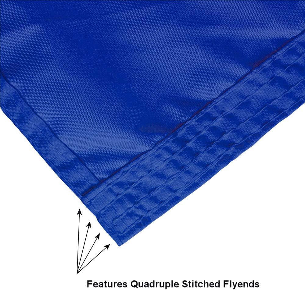 New College of Florida Flag