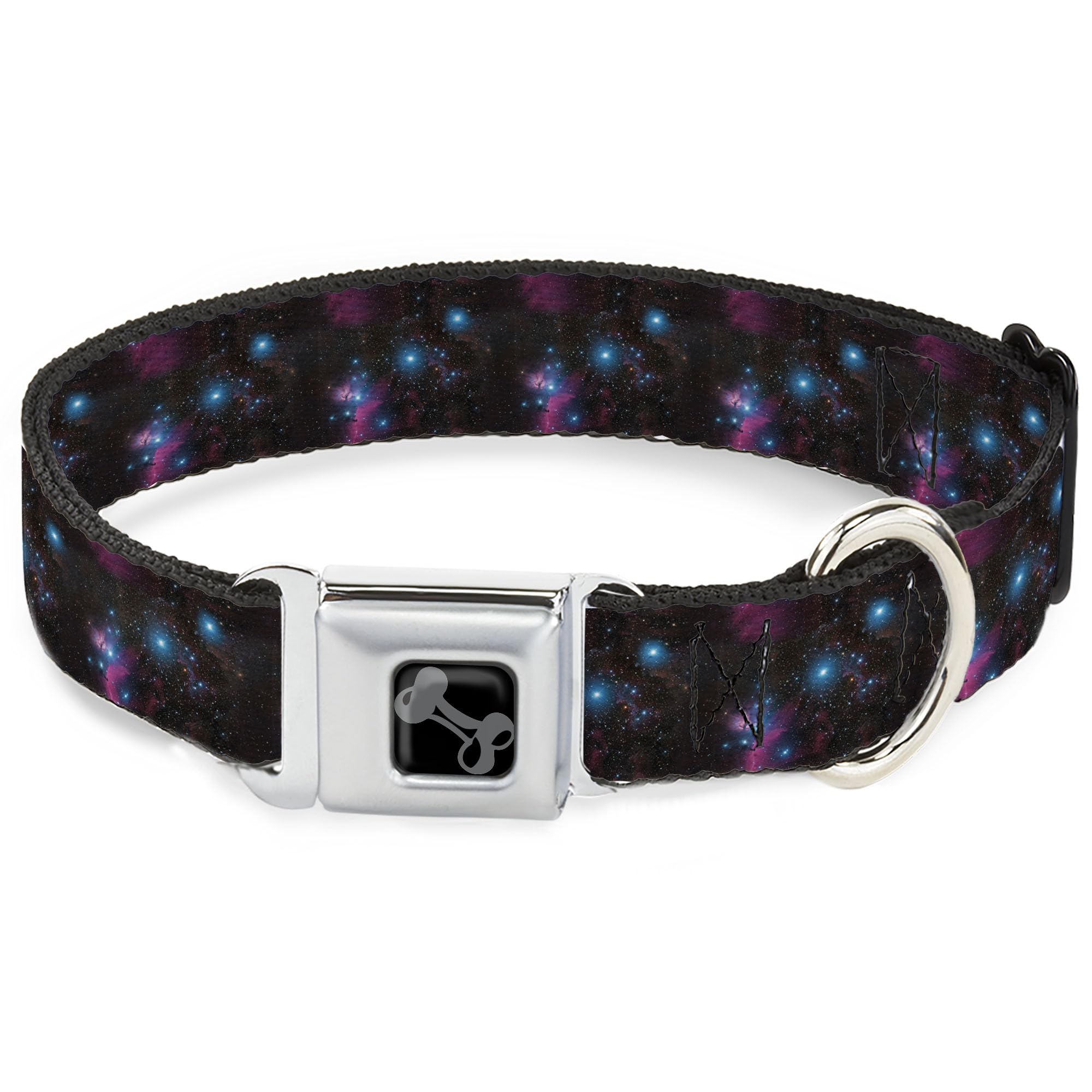 Collier pour animal Buckle-Down Orions d'exception avec boucle de sécurité en métal robust