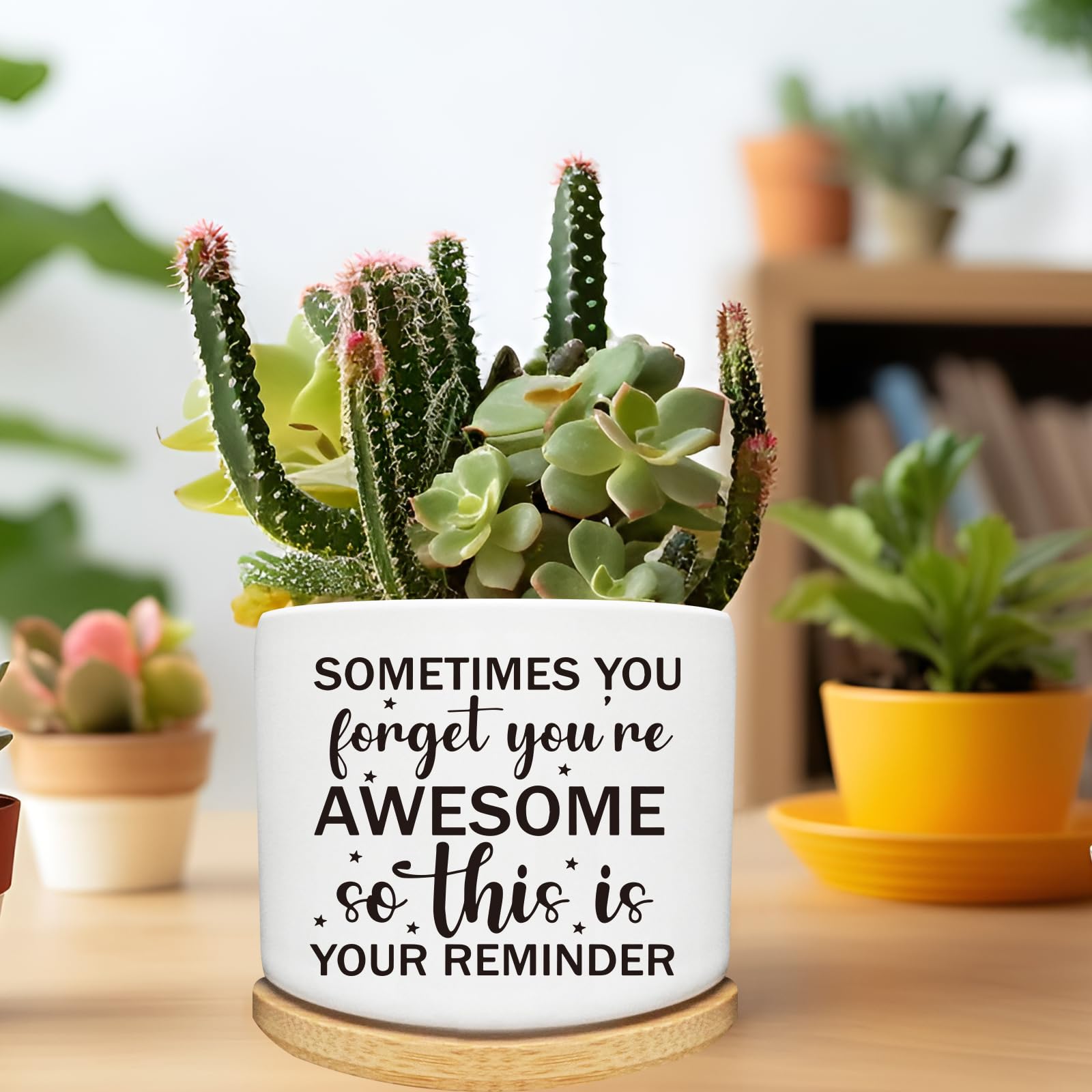 Macetas de Cactus suculentas con Bandeja de bambú, decoración de Interiores, Regalo para Amigos, mamá, Mujeres, compañeros de Trabajo, Profesores, Amantes de Las Plantas