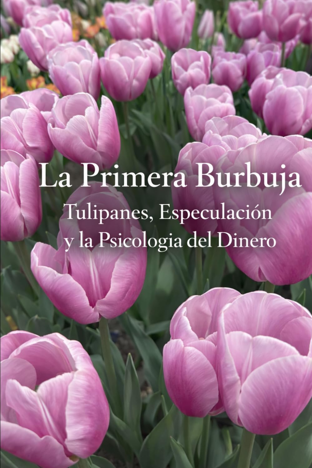 La Primera Burbuja: Tulipanes, Especulación y la Psicología del Dinero
